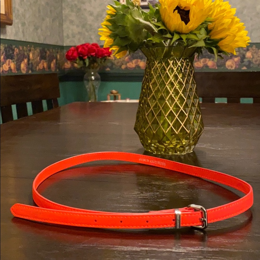 Vintage juicy could tour belts. Size 0-3